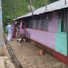නවක අභ්‍යාසලාභී උපාධිධාරී නිලධාරීන්ගේ ක්ෂේත්‍ර පුහුණුව